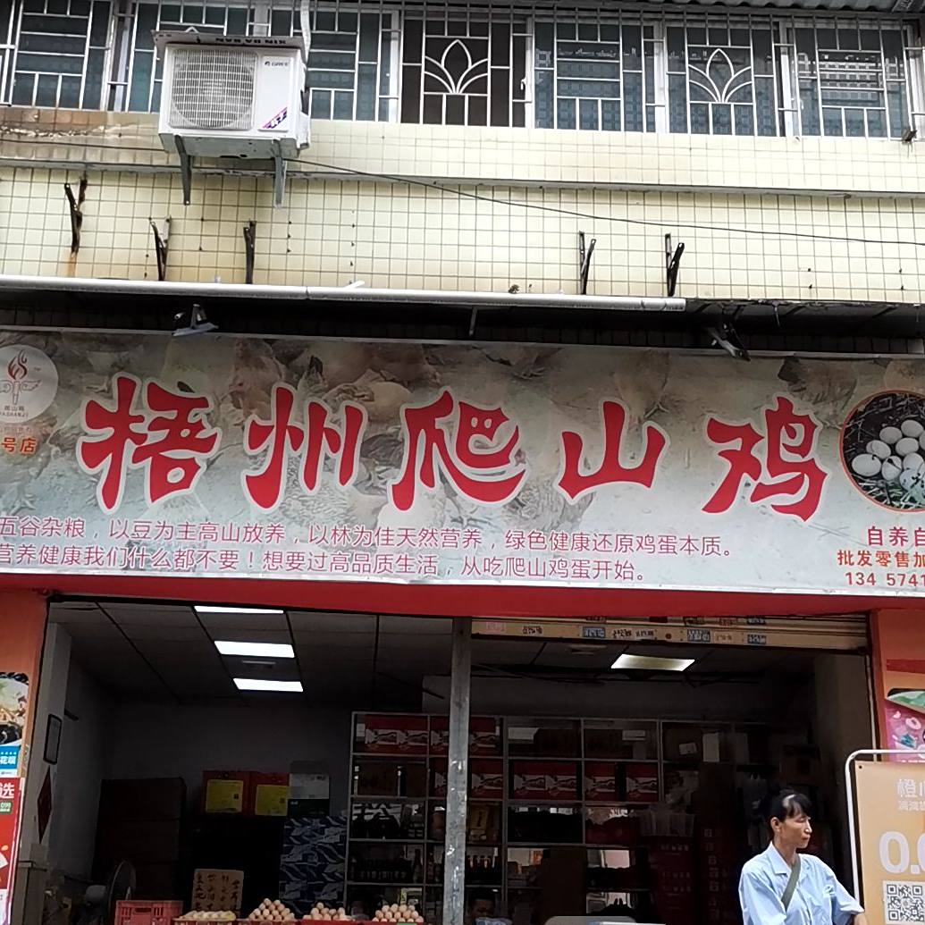 梧州的山鸡