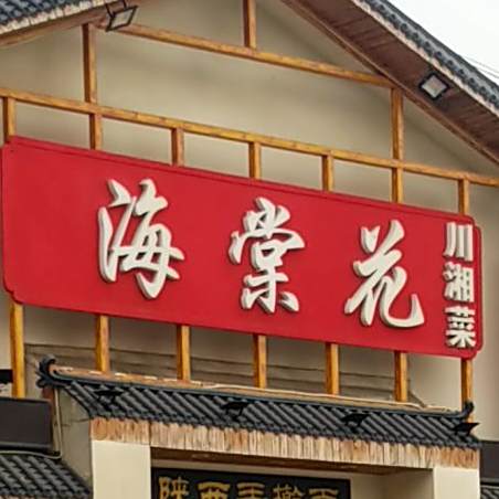 海棠华融合川菜(濮上园店)