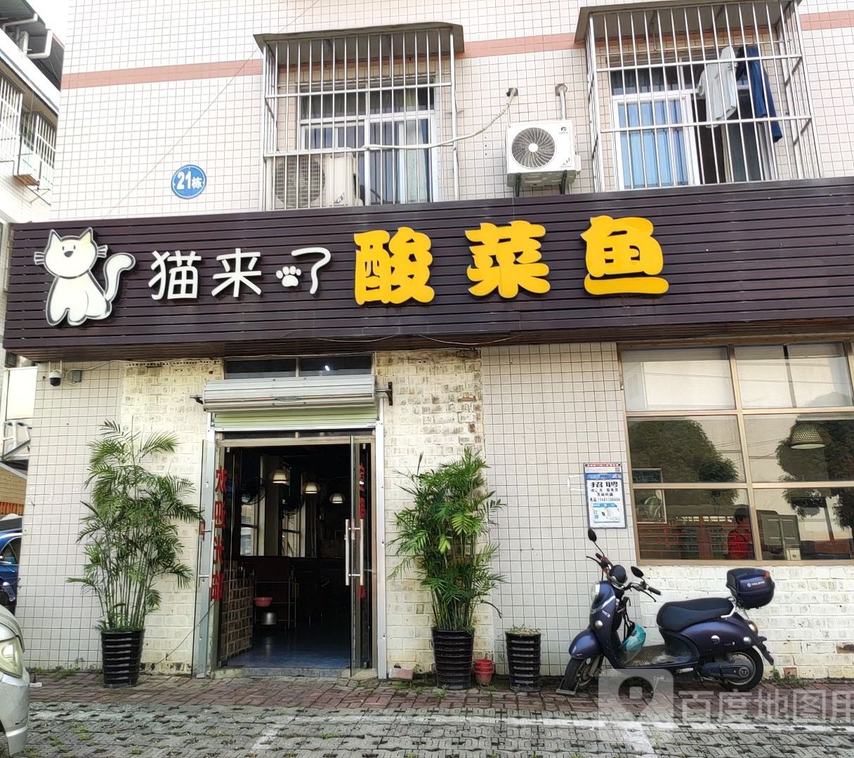 猫来了酸菜鱼(罗赖店)