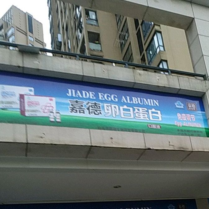 嘉德卵白蛋白
