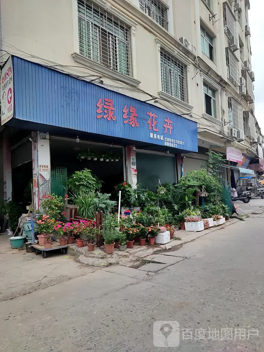绿源花卉(东吾路店)