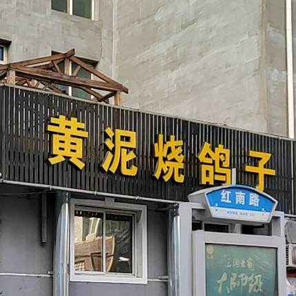 黄泥口鸽
