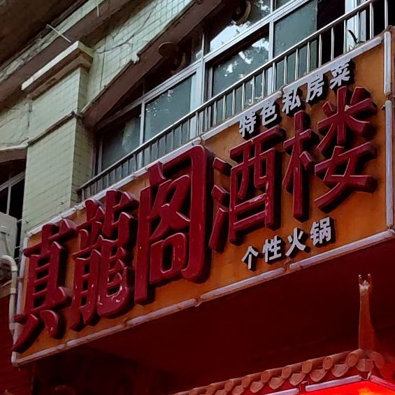 真龙阁酒楼(河西店)