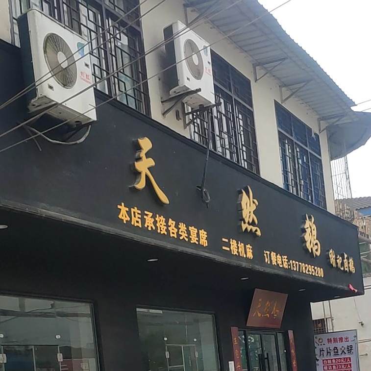 天然鹅