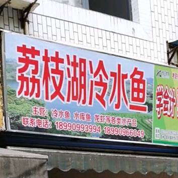 丽枝湖冷水鱼