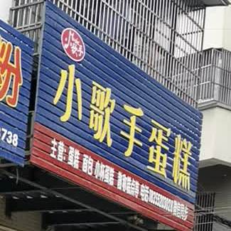 小歌手蛋高