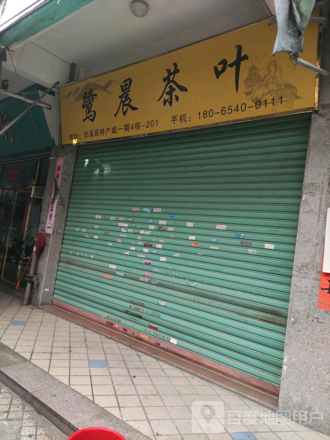 莺晨茶叶