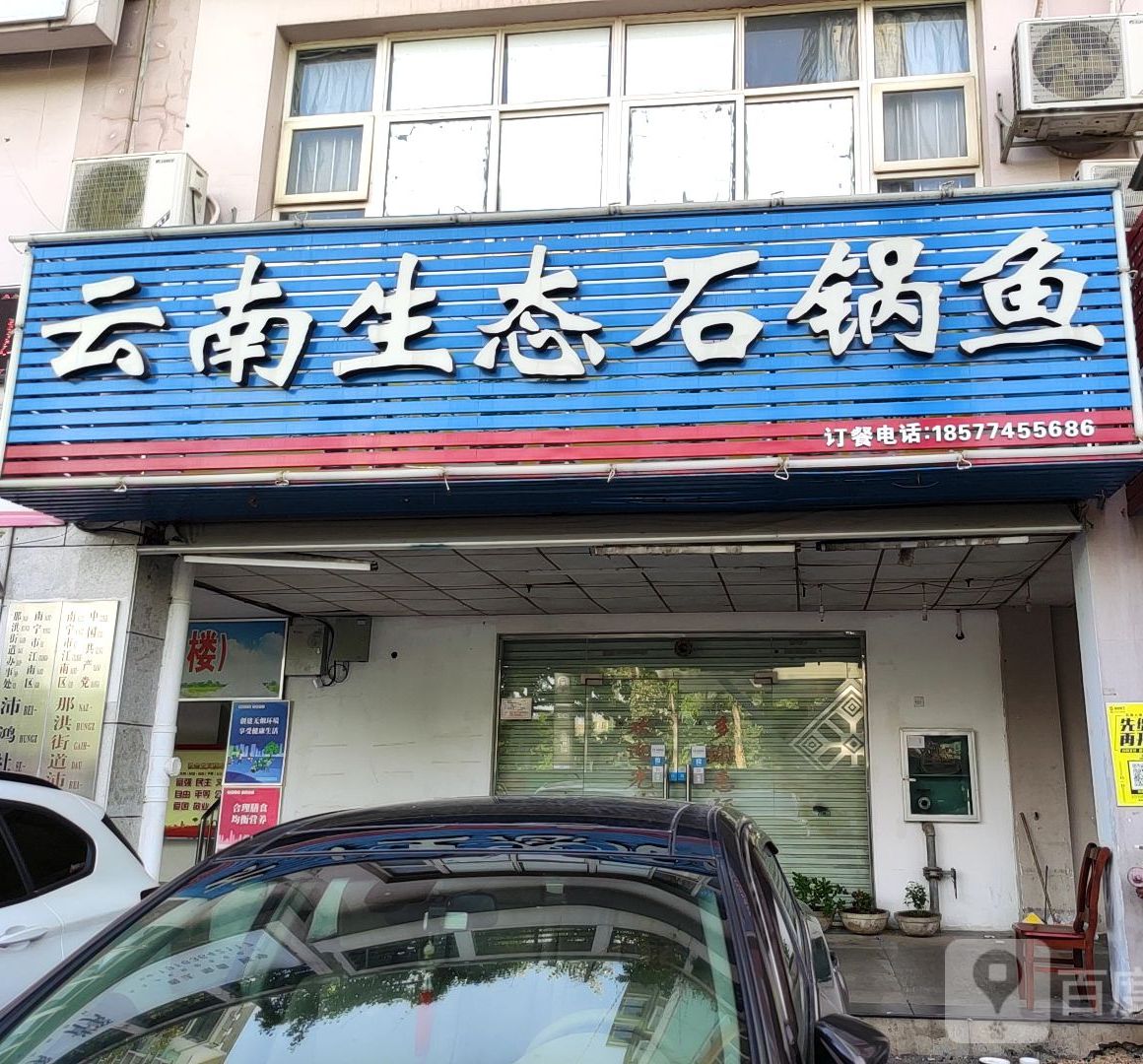 云南野生菌石菌鱼