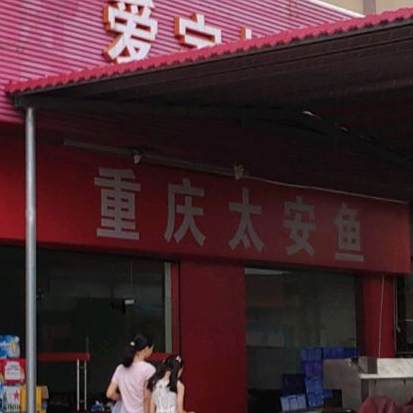 重庆太安鱼(金湖路一街店)