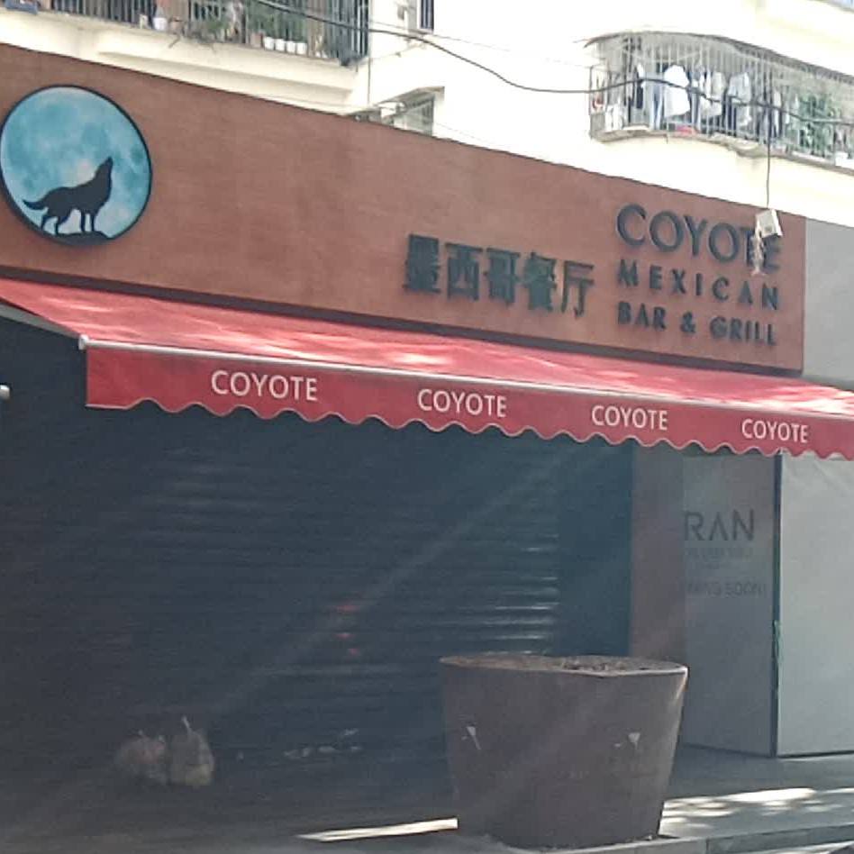 Coyote墨西哥餐厅(官任路店)