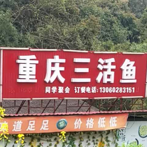 重庆市三活鱼
