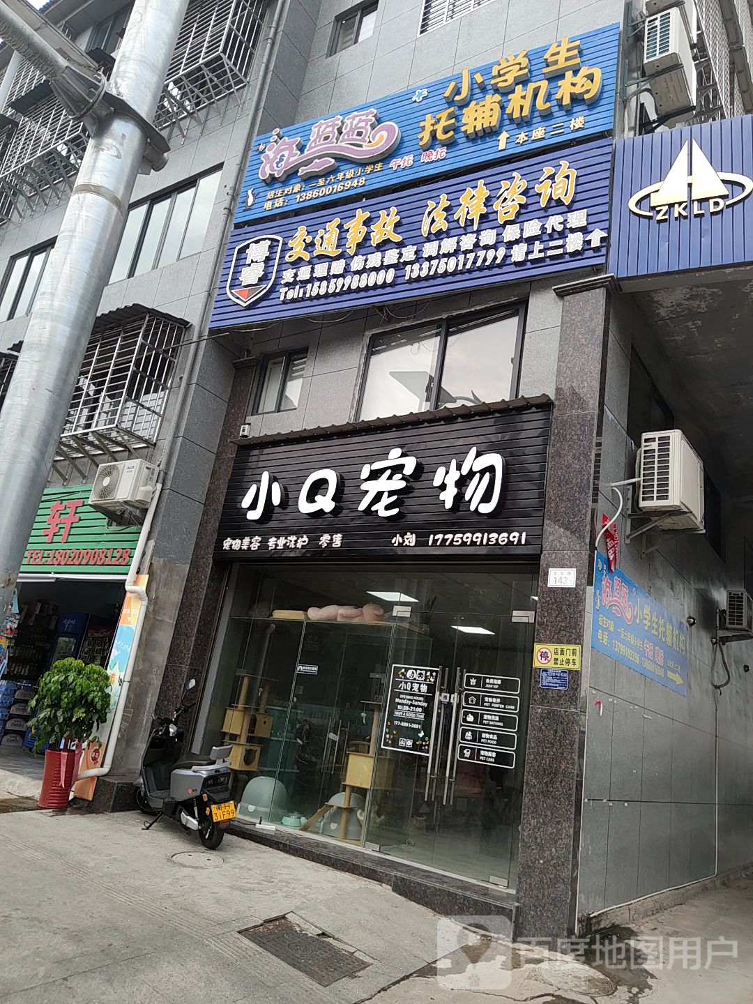 宠物店门店照片图片