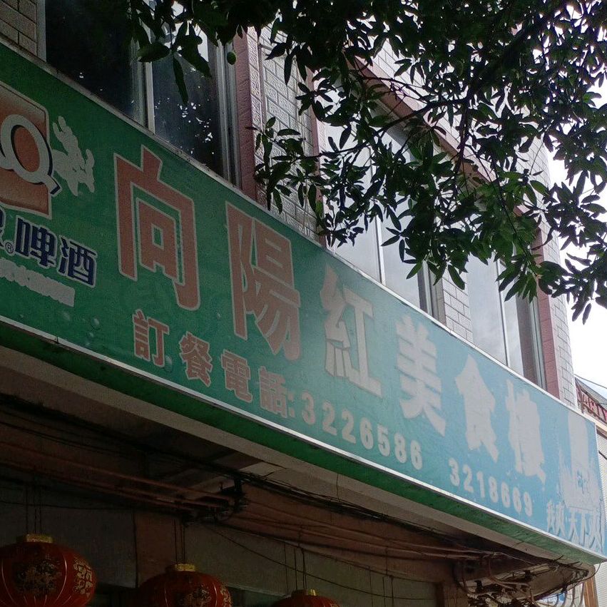 向阳湖美食楼
