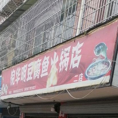 倪华明自主美蛙鱼