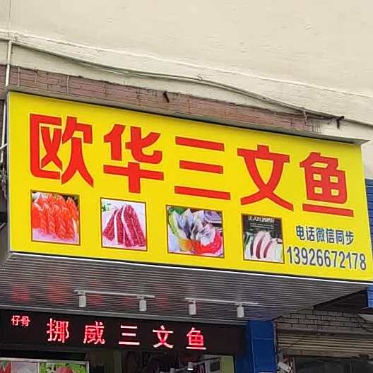 欧华三门鱼