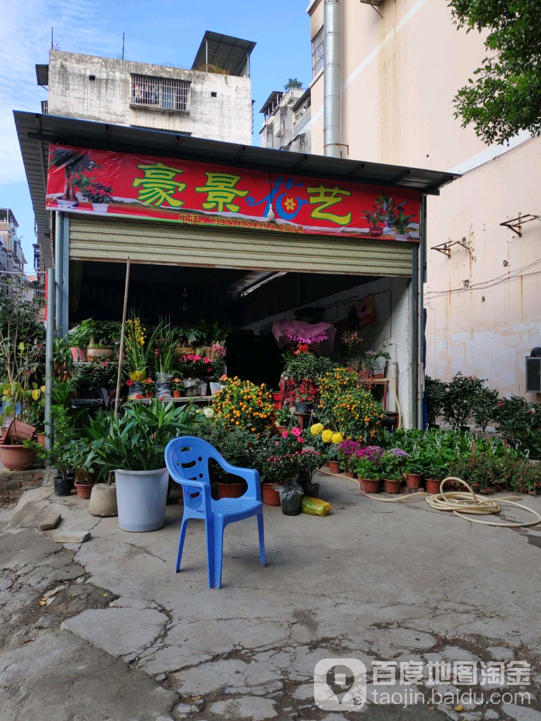 豪景花艺