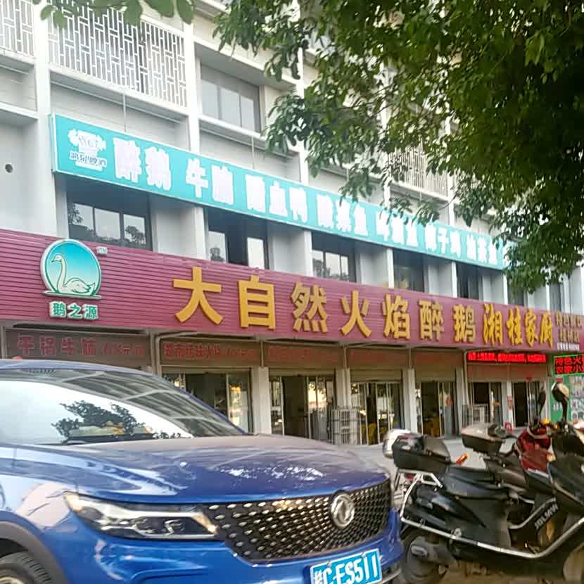 烧鹅湘桂家厨(桂林店)