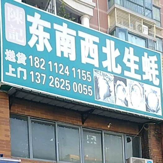 陈记湛江生蚝批发