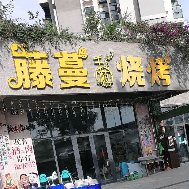 藤蔓烧烤(三桥店)