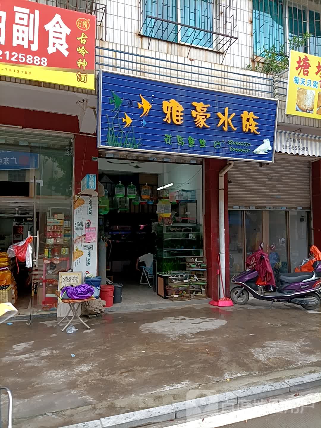 雅豪水族
