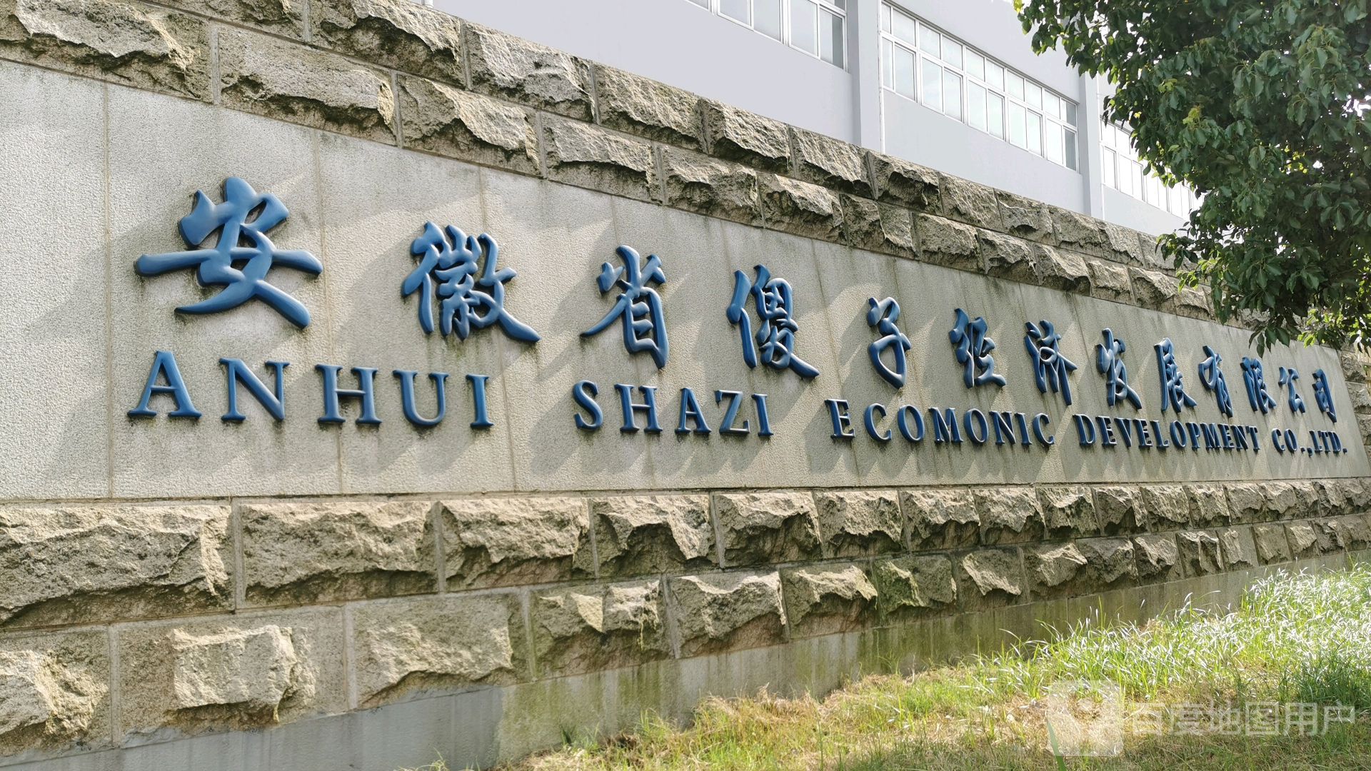 安徽省傻子经济发展有限公司