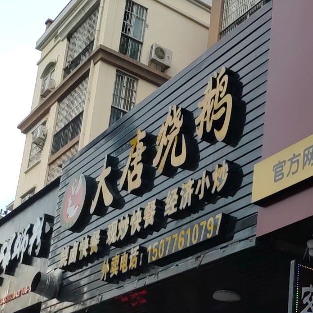 大唐烧鹅(新百通店)