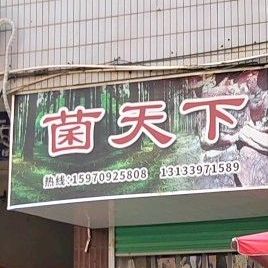 菌家天下