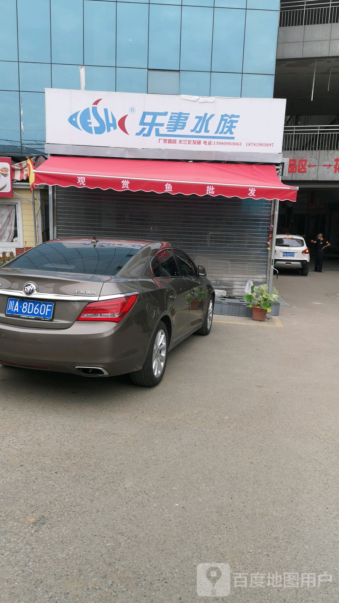 罗氏水族(木兰花卉批发城店)