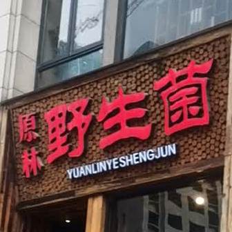 原林野生菌火锅店