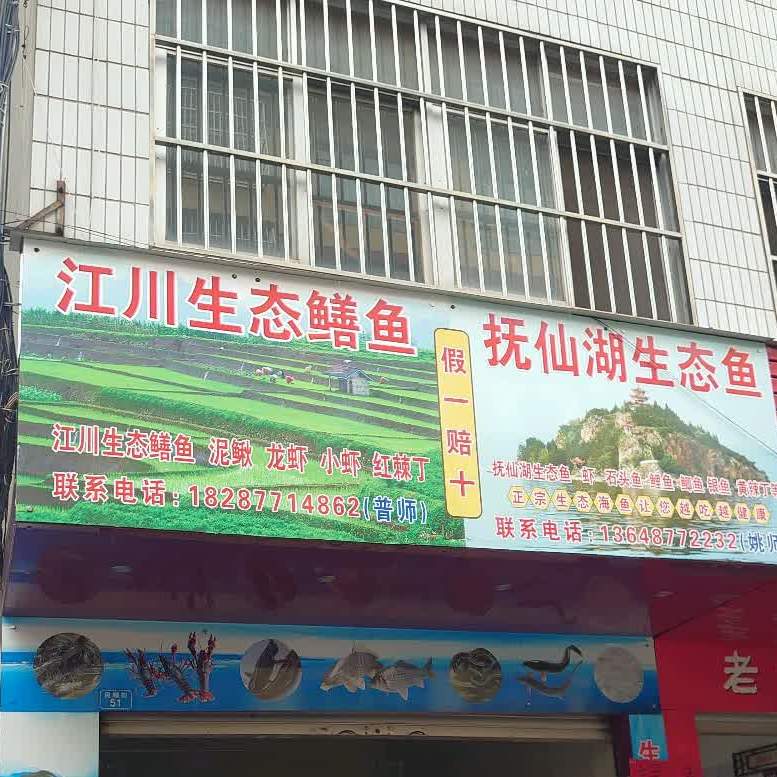 江川生态鳝鱼抚先仙湖生态鱼