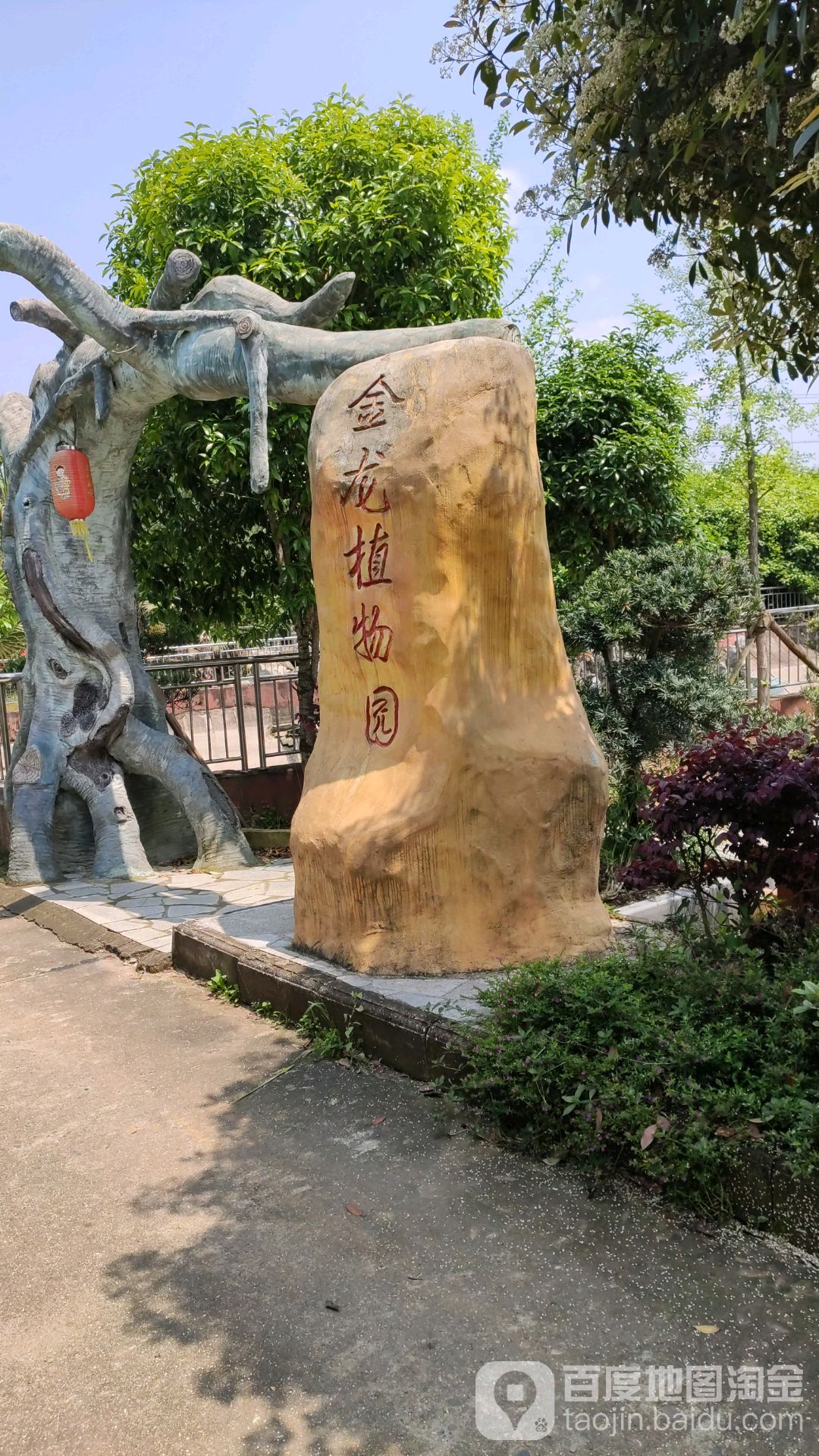 金龙植物园