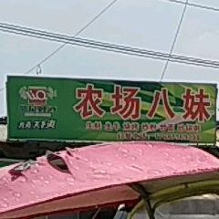八妹烧烤店