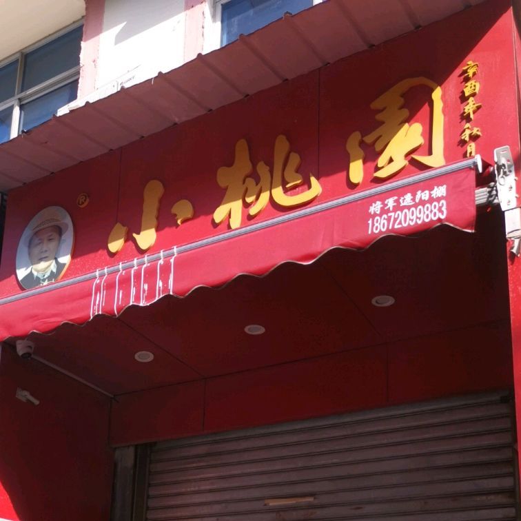 小桃园(深圳路店)