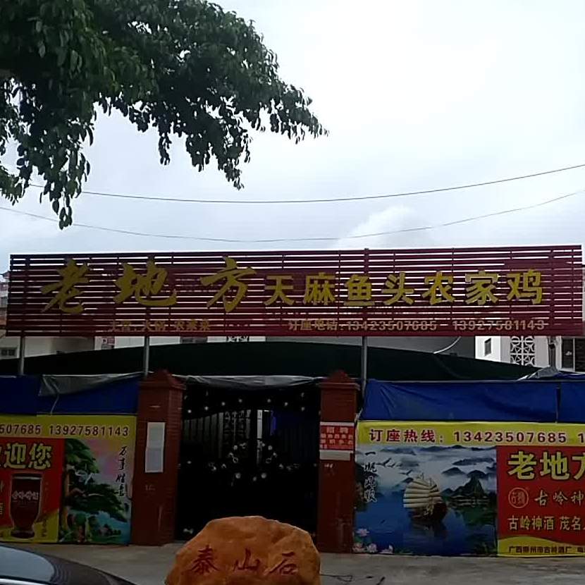 老地方天麻鱼头农家鸡