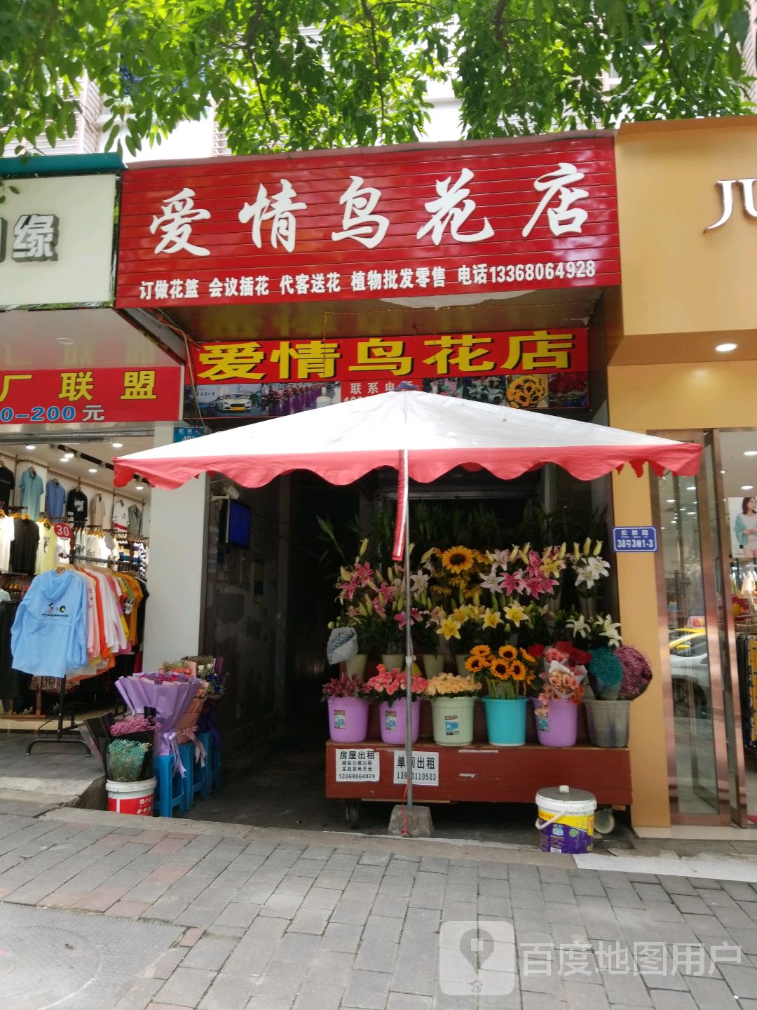 爱情鸟花店