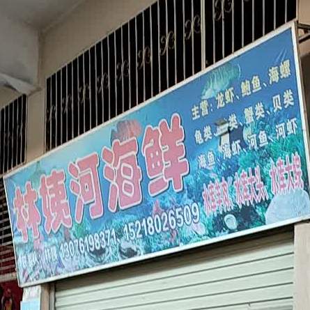 林姨和海鲜