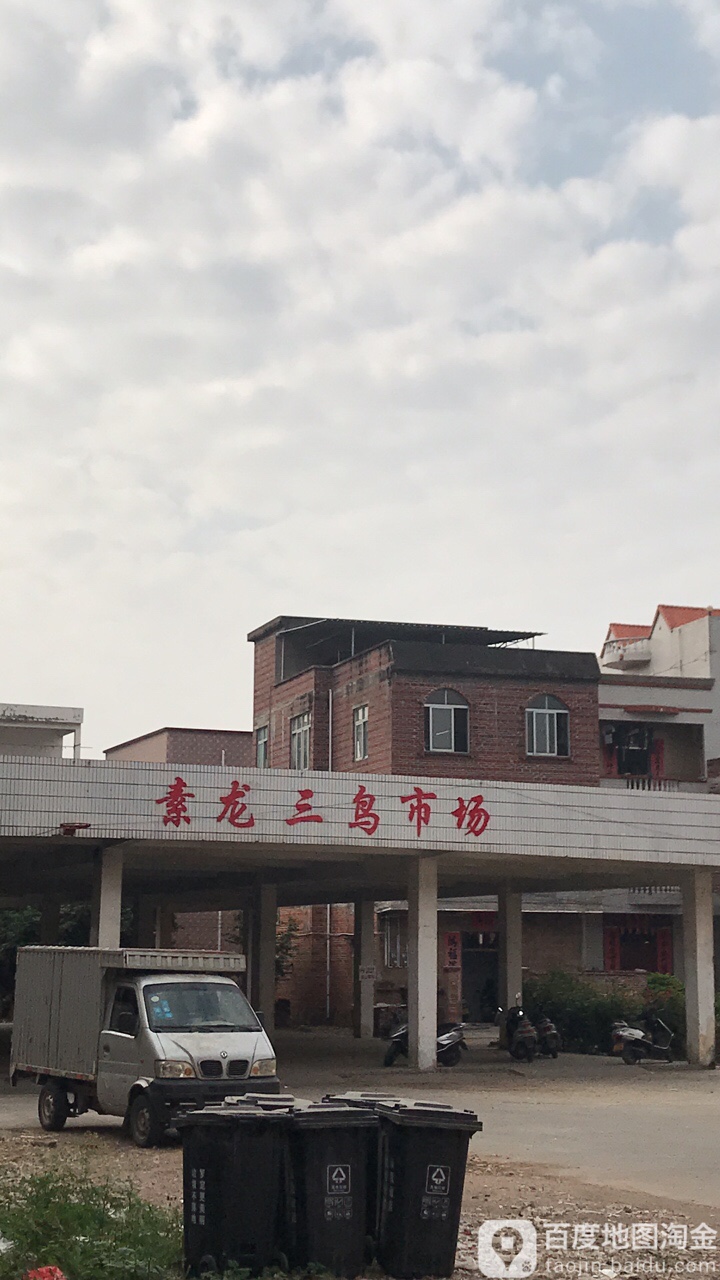 素龙圩三鸟市场