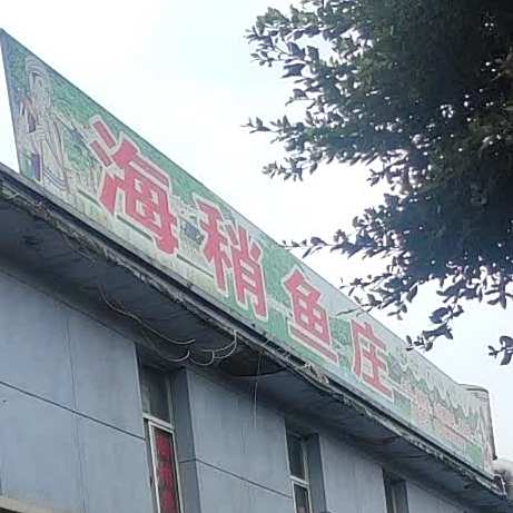 更新中冰川海稍鱼庄(李棋店)