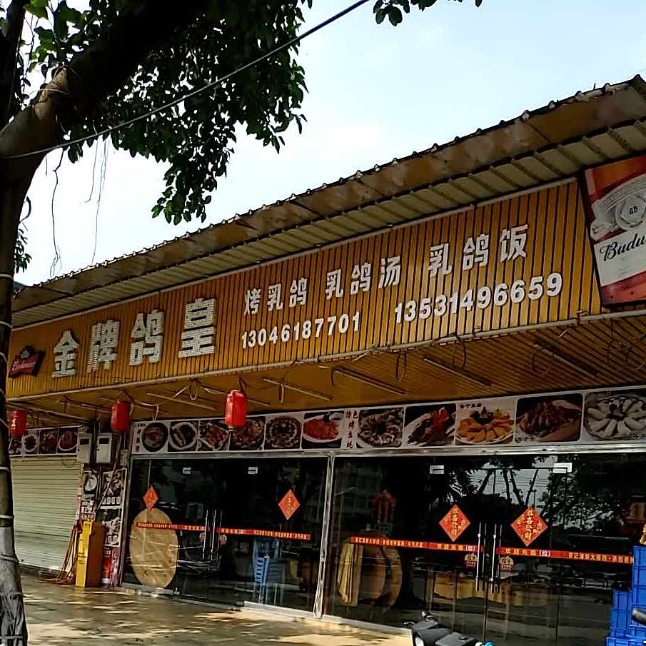 金牌鸽皇