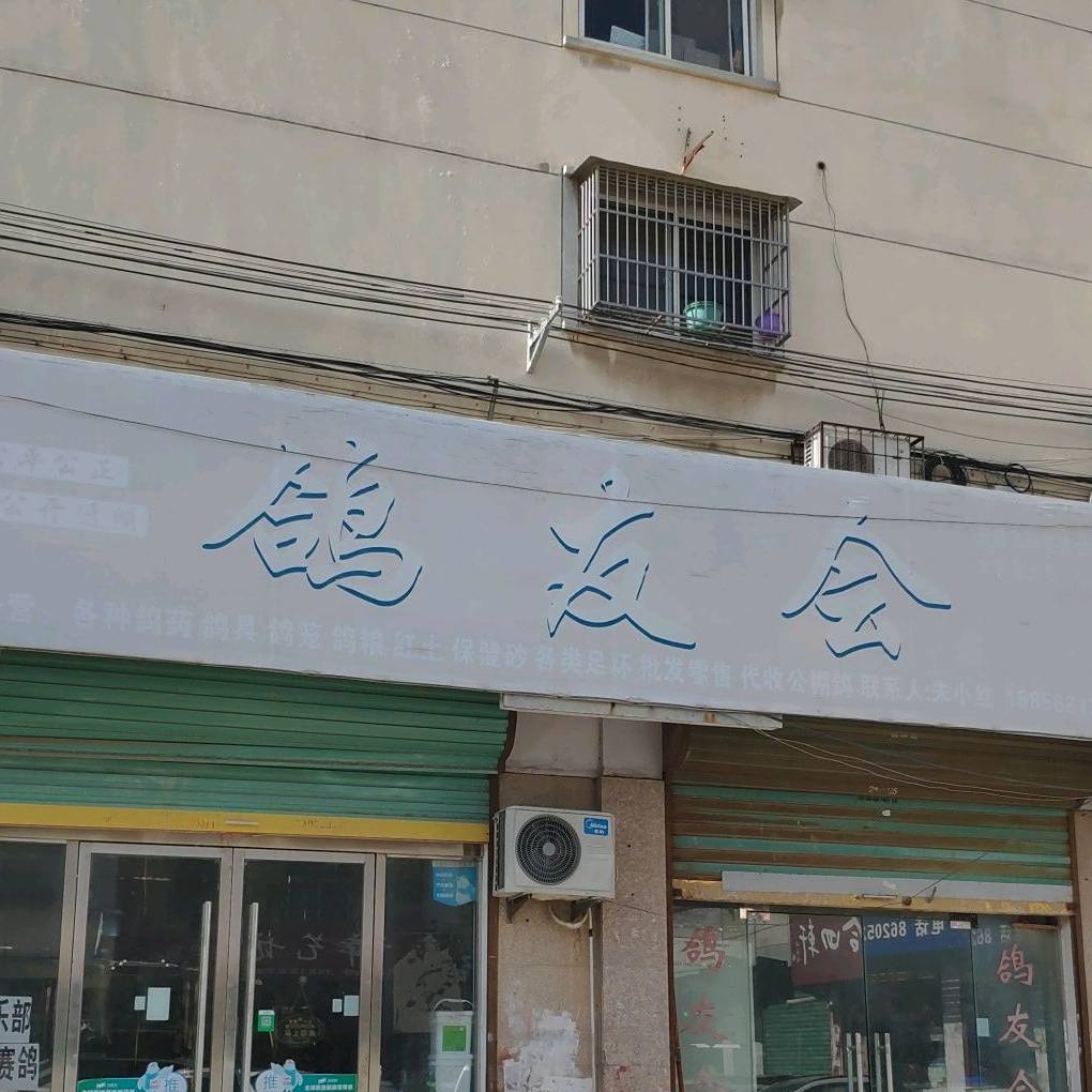 鸽友会