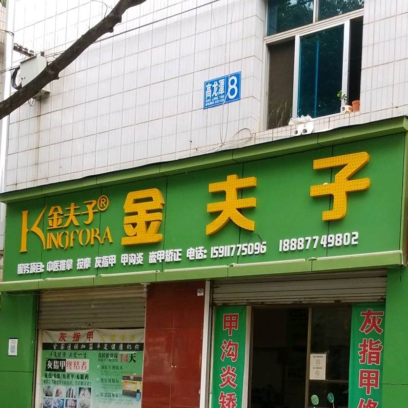 金夫子