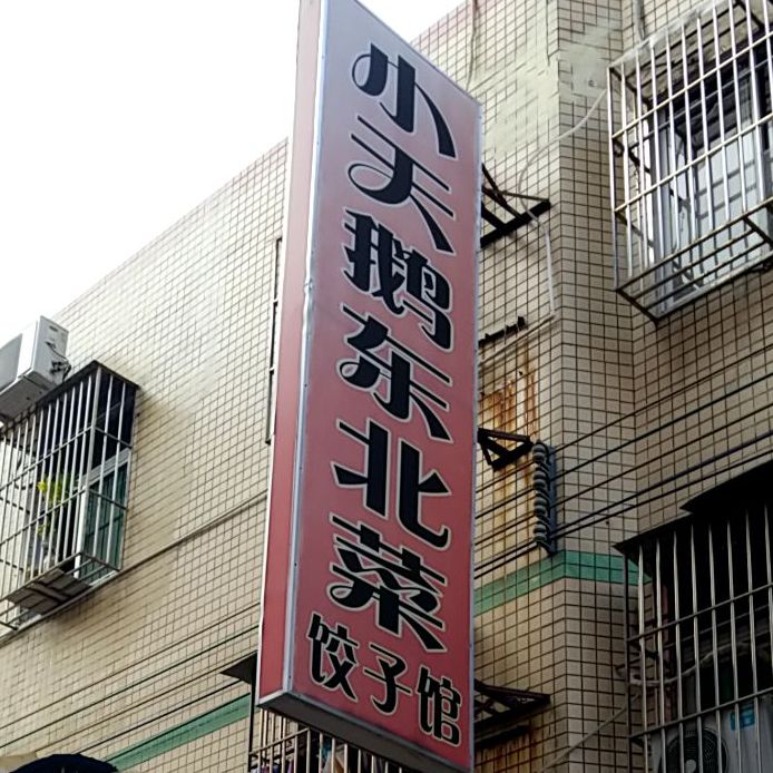 小天鹅东北菜饺子馆
