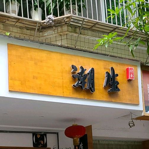 潮生潮汕鱼生王(碧霞店)