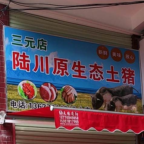 陆川原生态土猪(三元店)