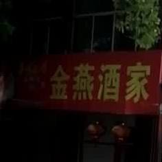 金燕酒驾