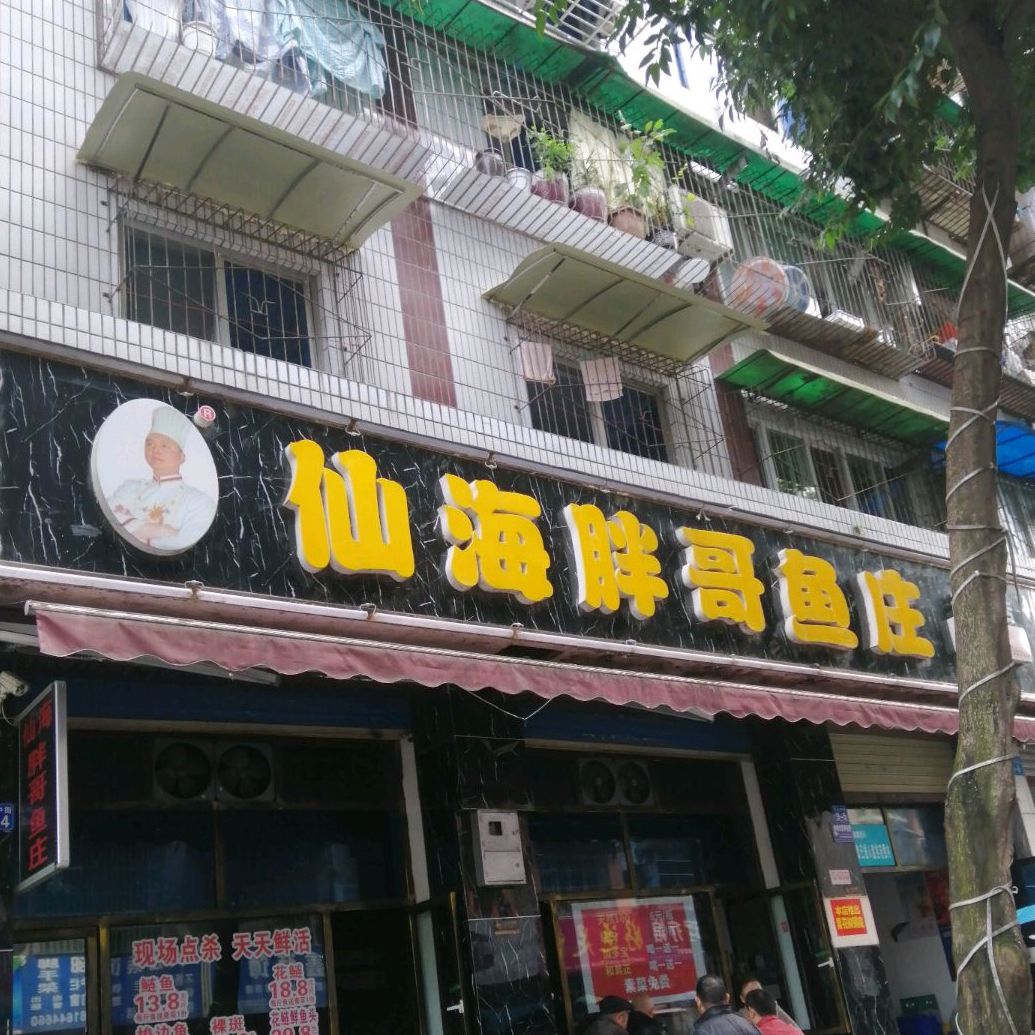 仙海胖哥鱼(开元店)