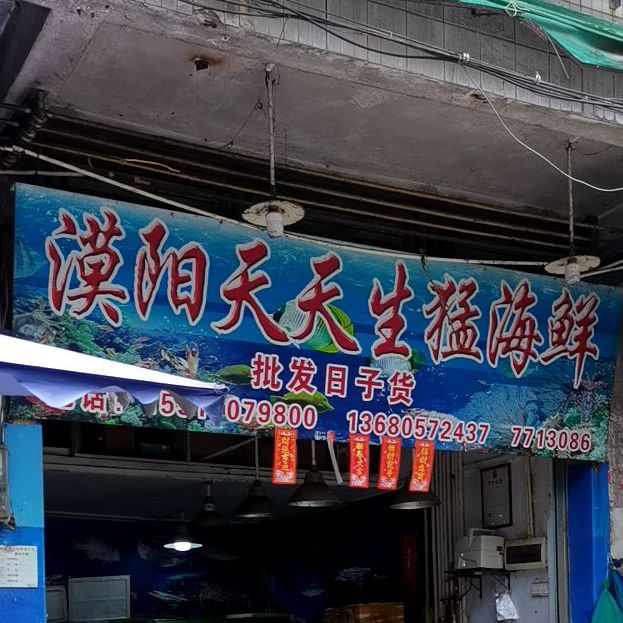 漠阳天天生猛海鲜