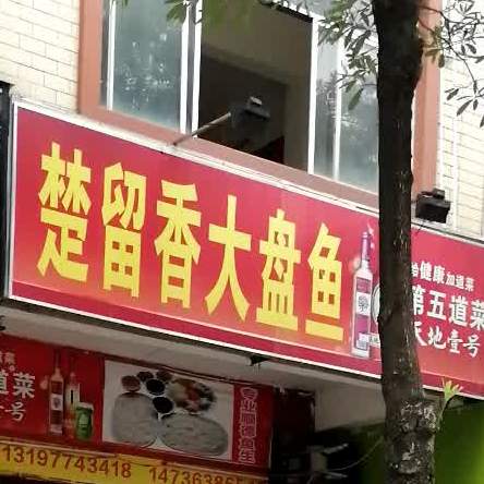 楚留香大盆鱼
