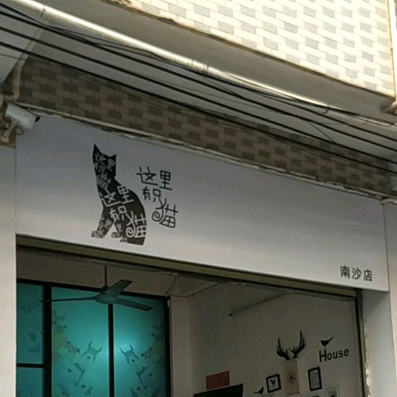 这里有只猫(南沙店)