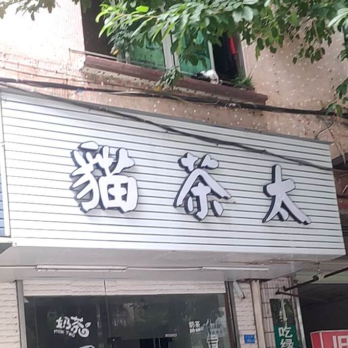 猫茶太